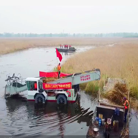 河道全自動(dòng)水浮蓮打撈船